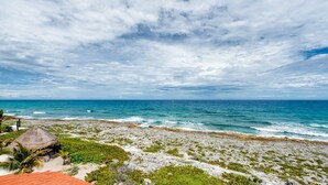 A beach with a thatched hut and greenery, overlooking the ocean. - Oceanfront Akumal Villa With Pool Near Snorkeling & Restaurants (Akumal)