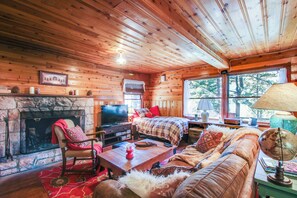 TV, fireplace, DVD player, books