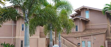 A hotel with a modern design, featuring a prominent entrance with a glass door, a signboard, and a well-maintained garden with red flowers and palm trees.