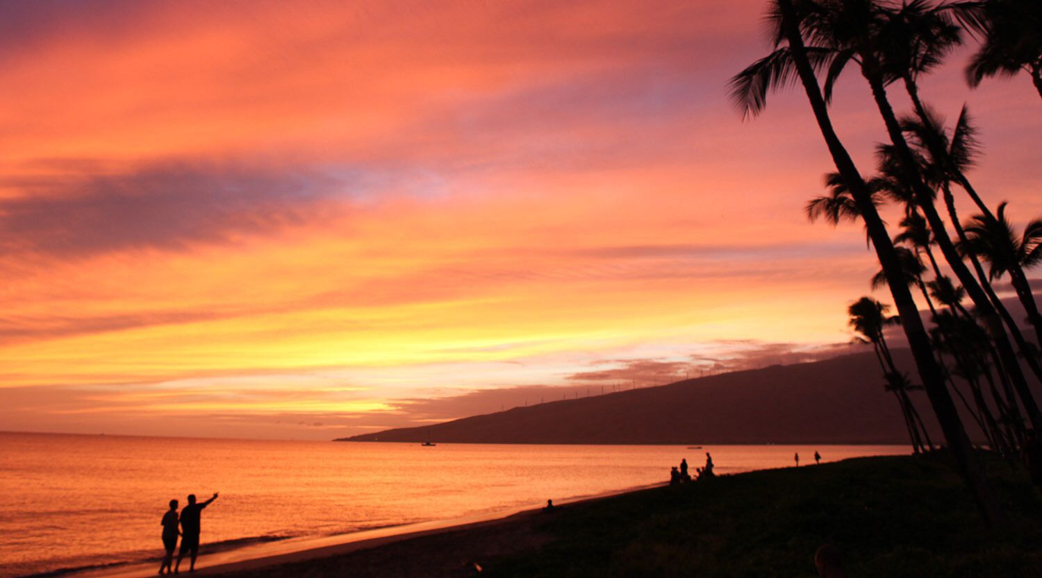 A sunset over a beach with palm trees and a hilly landscape in the distance.
