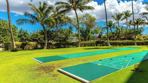 A sunny outdoor area with two shuffleboard tables, surrounded by palm trees and a clear sky.