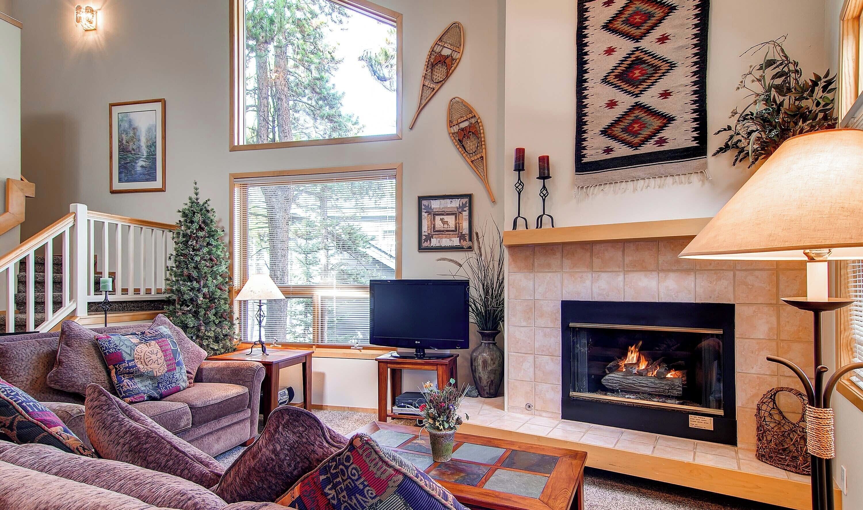 Televisión, chimenea, reproductor de DVD