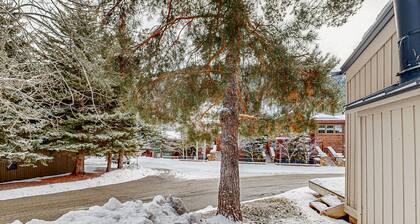 Hundefreundliches Studio mit Bergblick und Terrasse - zu Fuß zum Bald Mtn-Sessellift!