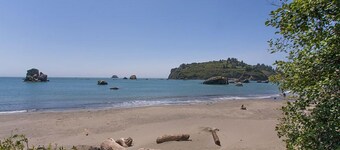 Parker Creek Cabin - Dog & Beachcomber's Paradise!