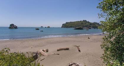 Parker Creek Cabin - Dog & Beachcomber's Paradise!