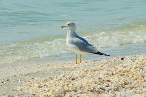 Sulla spiaggia