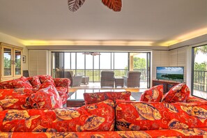 TV, DVD player, stereo