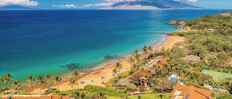 A coastal resort with a beach, palm trees, and a mountain in the background.