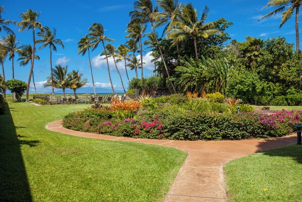 A landscaped garden with a curved pathway, palm trees, and a view of the ocean.
