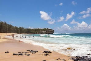 Camastros y toallas de playa