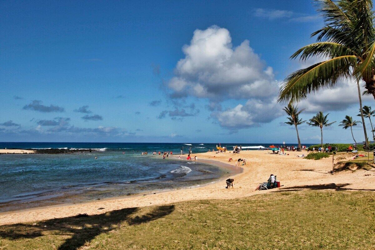 A beach with clear skies, palm trees, and people enjoying the sand and water.