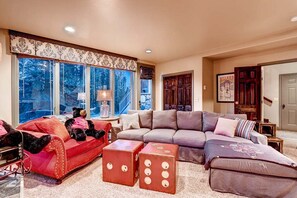 TV, fireplace, DVD player, books