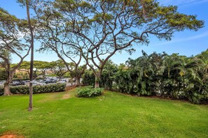 Property grounds - Cozy Condo Located in the Heart of Kihei (Kihei)
