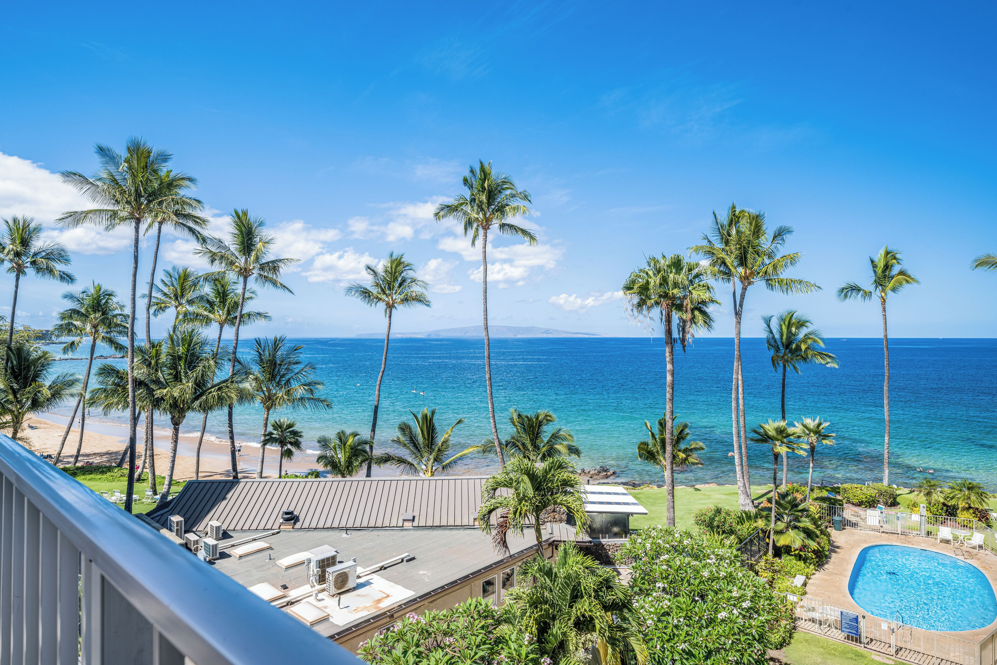 A pool area with a view of the ocean and palm trees.