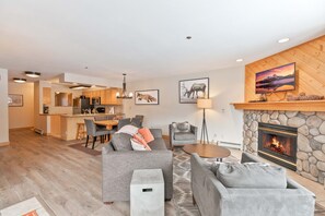 Télévision, cheminée, lecteur de DVD