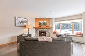 Télévision, cheminée, lecteur de DVD