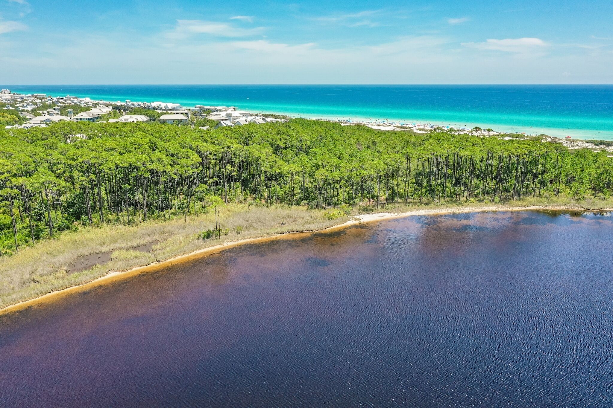 An aerial view of a coastal area with a beach, dense forest, and a clear blue sky.
