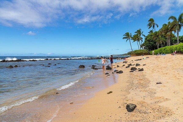 Une plage avec un ciel dégagé, des palmiers et une côte rocheuse.