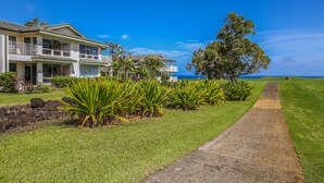 A beachfront property with a long driveway, lush greenery, and a large tree. - Emmalani Court #225 Fabulous Views!  Air Conditioning in Both Bedrooms (Princeville)