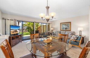 Télévision, lecteur de DVD, livres