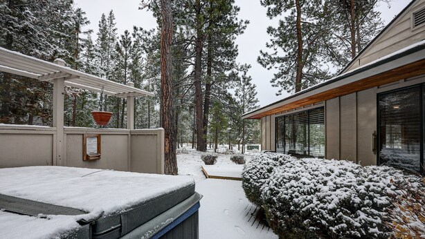 A snow-covered outdoor area with a wooden deck, a snow-covered bush, and tall pine trees in the background.
