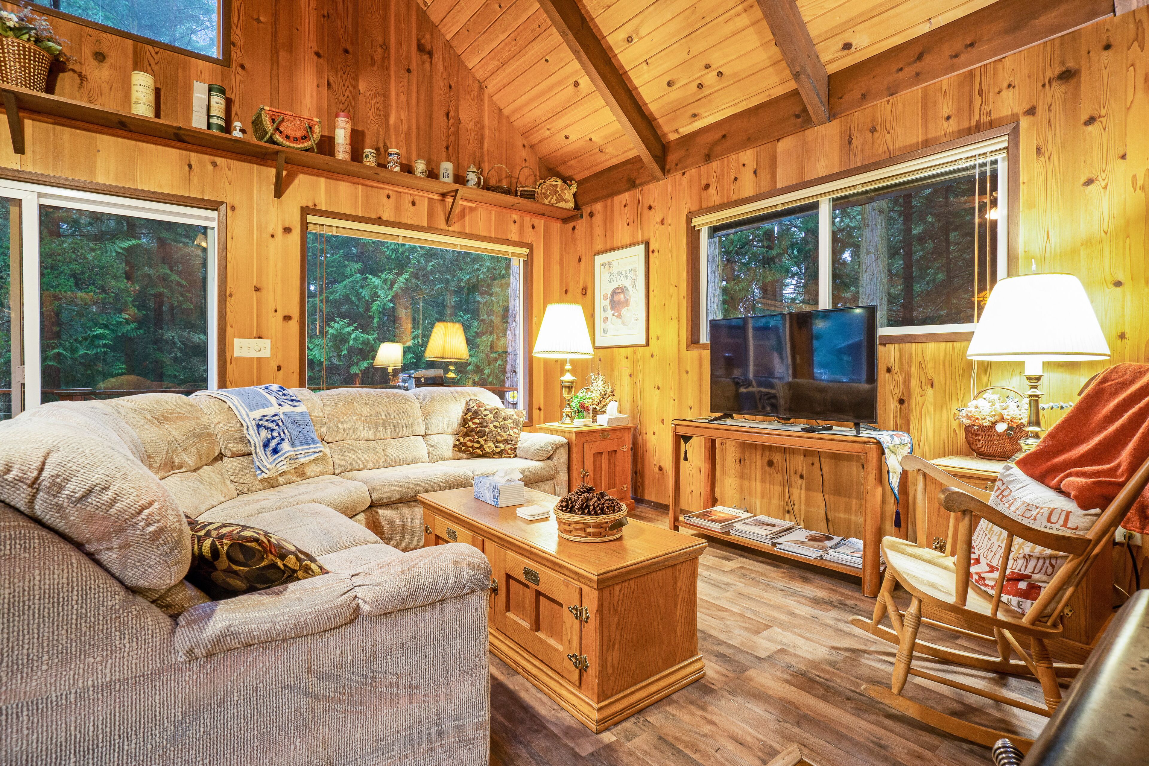 Télévision, cheminée, lecteur de DVD, livres