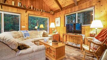 Télévision, cheminée, lecteur de DVD, livres