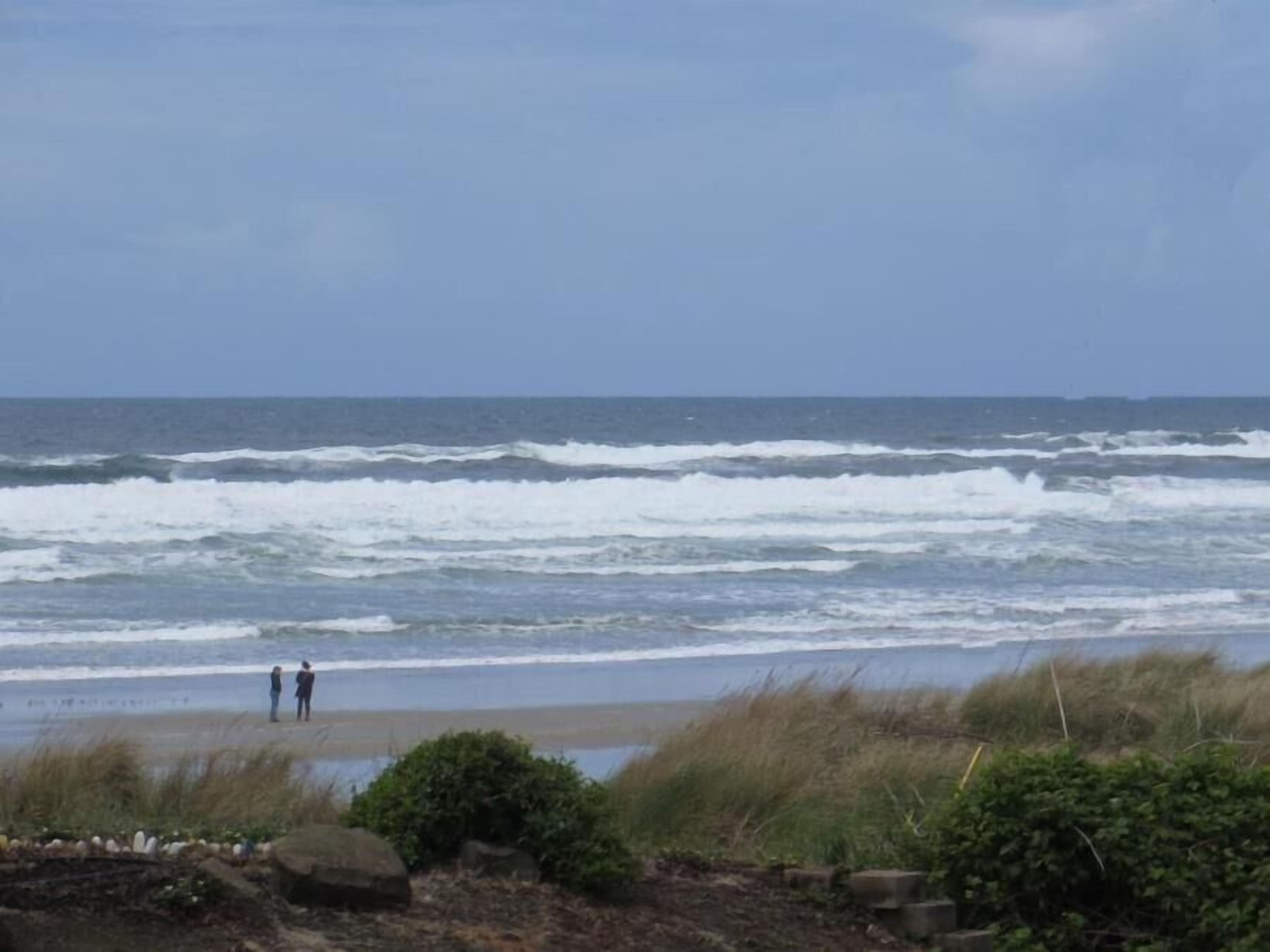 Everyone loves the Sun Porch - Sea Lion Surf