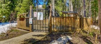 Dog-friendly, upscale condo with shared pool & hot tub - one mile from skiing