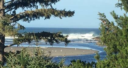 Huge Beachfront Home, Jaw-Dropping Views, Hot Tub, Rare Privacy - Dogs OK