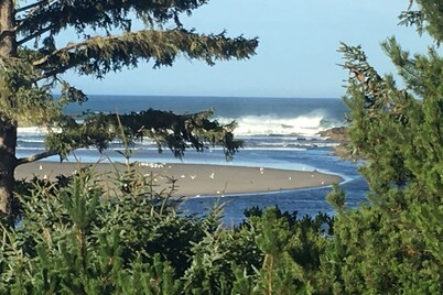 Huge Beachfront Home, Jaw-Dropping Views, Hot Tub, Rare Privacy - Dogs OK