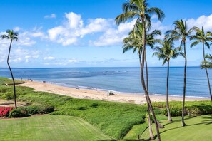 Una spiaggia con palme, una zona erbosa e vista sull'oceano.