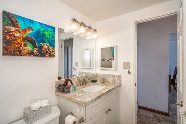 A bathroom with a large mirror, a sink, and a toilet. There is a painting of a turtle on the wall.