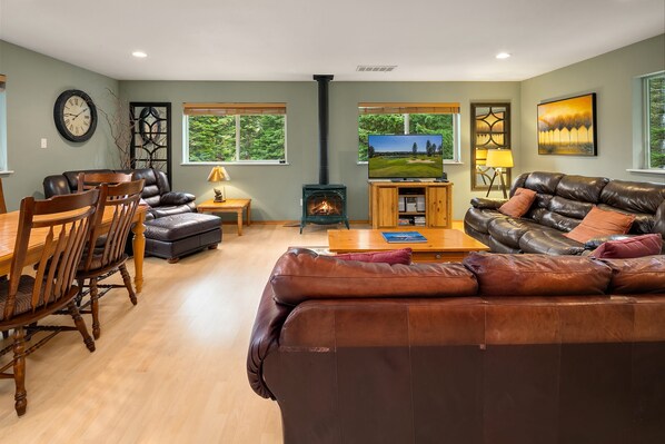 TV, fireplace, video games, DVD player