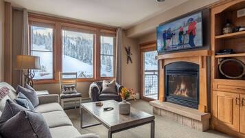 智能電視、壁爐、DVD 播放機