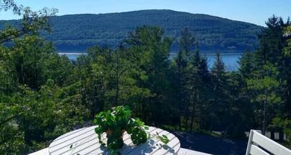 Finger Lakes Wine Country Lake View Ski Loft Lake Home In Bristol Harbour Resort