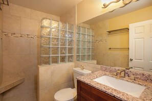 A bathroom with a glass shower enclosure, a toilet, a sink with a granite countertop, and a large mirror.