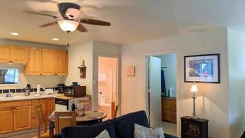 Smart TV, fireplace, video-game console, Netflix