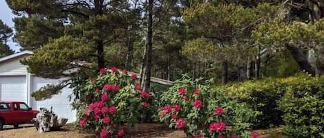 Overnattingsstedets uteområder