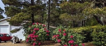 Hear the Surf, Stroll to the Beach – Cozy Studio