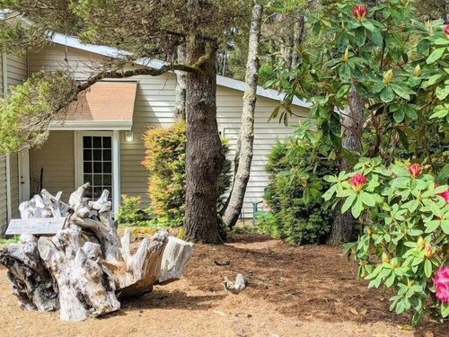 Hear the Surf, Stroll to the Beach – Cozy Studio