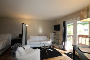 Fernseher, Arbeitsbereiche