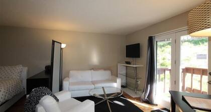 Skyland Lodge, Super cute studio, hot tub