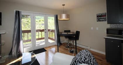 Skyland Lodge, Super cute studio, hot tub