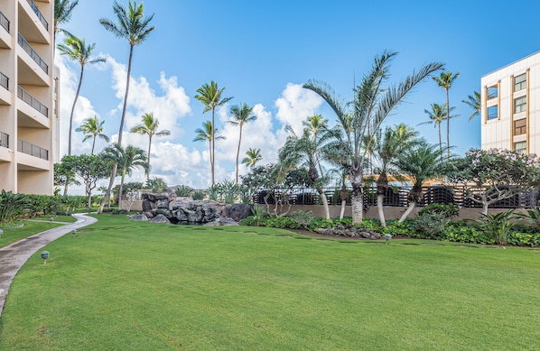 A well-maintained lawn with palm trees and a stone wall, surrounded by buildings. - Experience Oceanfront Paradise: Beautiful 1-Bedroom Retreat - Sugar Beach #524 (Kihei)