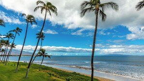A beach with palm trees, a grassy area, and a view of the ocean.
