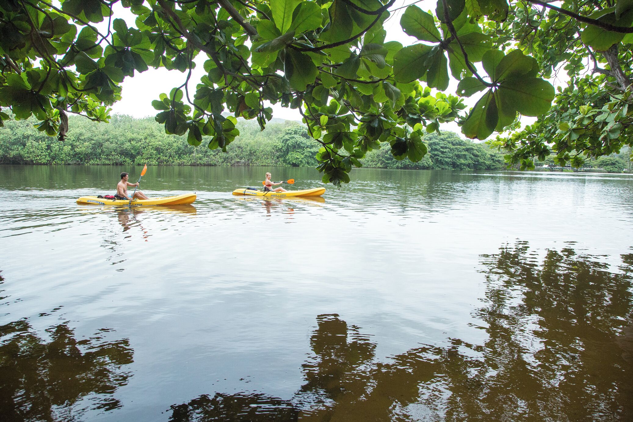 Two people kayaking on a calm river surrounded by lush greenery.