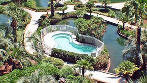 A heart-shaped swimming pool surrounded by palm trees and a small bridge.