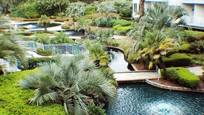 A landscaped garden with a water feature, palm trees, and a pathway.