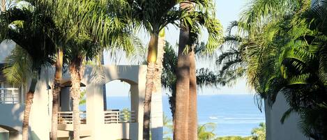 Guests can enjoy a serene sea view from this Mediterranean-style hotel, surrounded by lush greenery and palm trees.